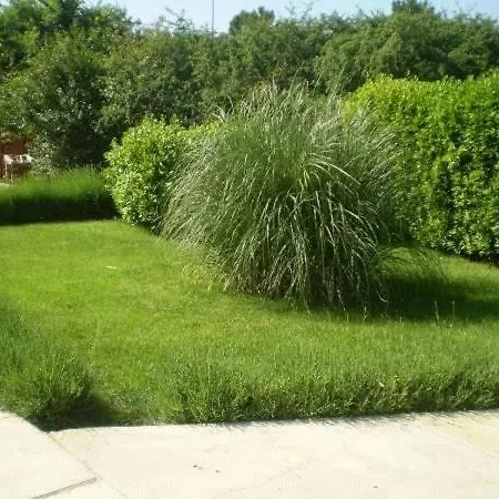 Apartment In Zaton *
