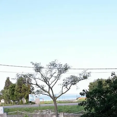 In *