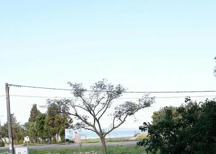 In *